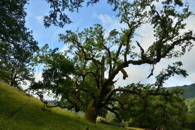 DSC_6788 (Large).JPG